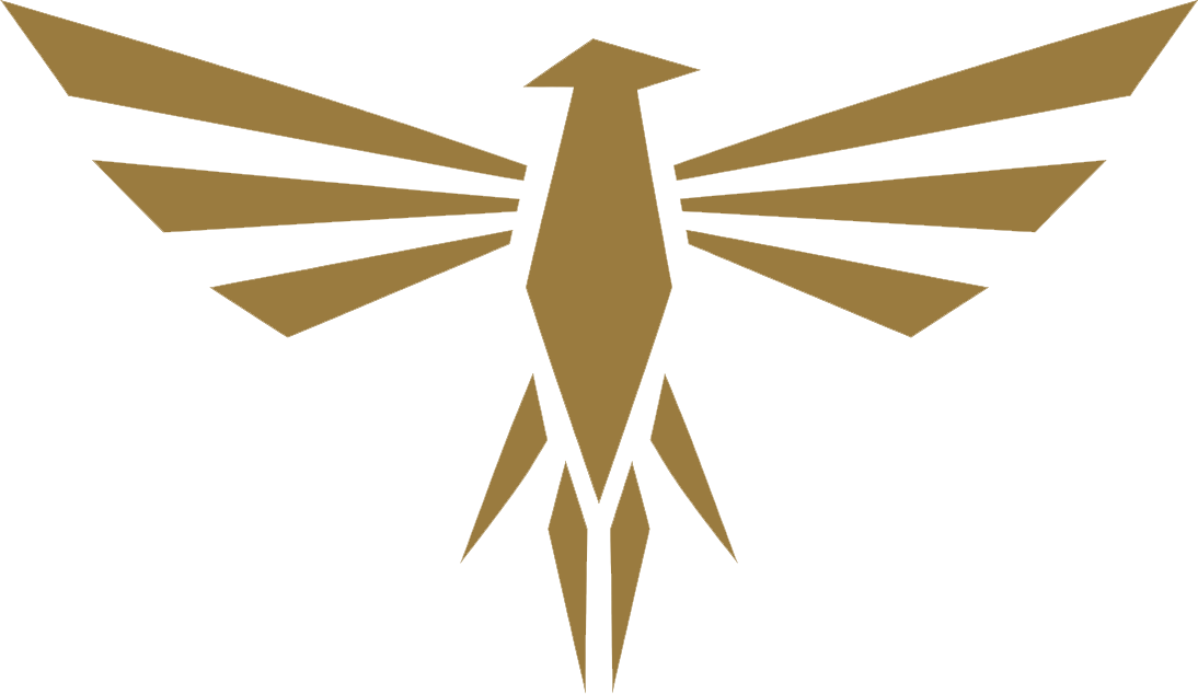 Ineer Logo