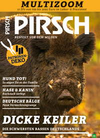 PIRSCH